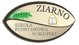 logo podstawowa