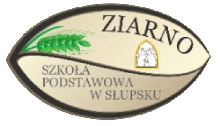 Szkoła Podstawowa